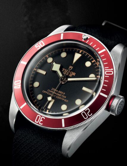 Tudor BLACK BAY M79230R-0011 Replica Watch